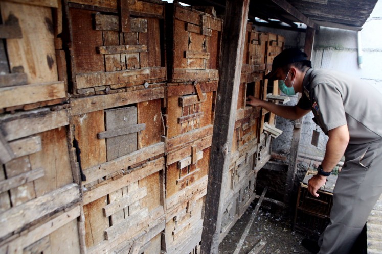 Avian Influenza Inspections