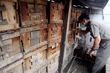 Avian Influenza Inspections