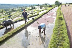 Govt to redistribute 9 million hectares of land 