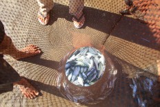 Traders sell fish at the Fish Landing Base in Gorontalo City. In bad weather, many traders are forced to sell fish wholesale at prices ranging between Rp 50,000 and Rp 100,000 per basket. JP/Syamsul Huda M. Suhari


