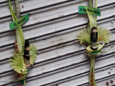 The sugarcane couple effigies, Bagus Mandara and Rara Ayu Manis Laksmi, are ready to be milled to mark the start of the milling season. JP/Ganug Nugroho Adi