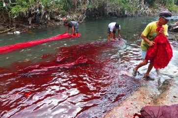 Revival of natural dyes