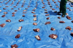 A man stands above meat for the Day of Sacrifice that is ready to be distributed in Banda Aceh, Aceh, on Sept. 12. JP/Hotli Simanjuntak