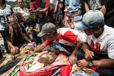 Most Torajans adhere to the Protestant or Catholic faiths today, and recitation of biblical passages are also heard during the traditional rituals. JP/ Agung Parameswara