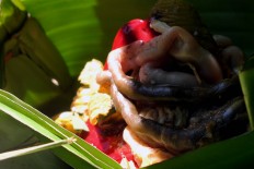 Offerings symbolize welfare as a result of the plantation. JP/Alb Magnus Kus Hendratmo 
