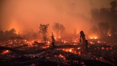 Taking lessons from 2015 forest fire disaster
