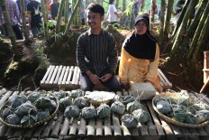 Tempe benguk is a specialty of Caruban village. At Papringan Market, visitors can
enjoy various foods made from tempe benguk. They can also buy it raw as a gift for
friends. JP/Ganug Nugroho Adi