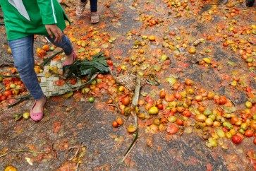 Bandung village celebrates mother earth with tomato fight