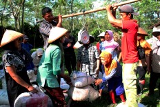 Workers weigh their picks in Assinan Plantation in Semarang, Central Java. Each worker gets Rp 500 per kilogram. JP/Suherdjoko
