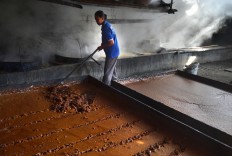 Sulis, 30, rakes the brown sugar to be packed into 50-kg sacks in a home industry in Genengan village in East Java. JP/ Aman Rochman