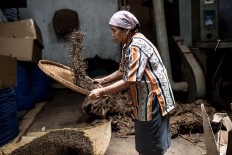 A worker sifts chopped tobacco leaves at the Rizona Baru cigar factory in Temanggung, Central Java. The factory was built in 1910 by Oo Tjong Han, a Chinese immigrant who lived in Temanggung. Every day the factory can produce 3,000 cigars, which are manually crafted by the skilled hands of the workers, who are mostly women. JP/Agung Parameswara