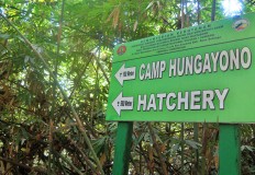 A sign directs visitors to the Hungayono conservation camp that borders the Bogani Nani Wartabone National Park in Gorontalo, northern Sulawesi. JP/ Syamsul Huda M Suhari