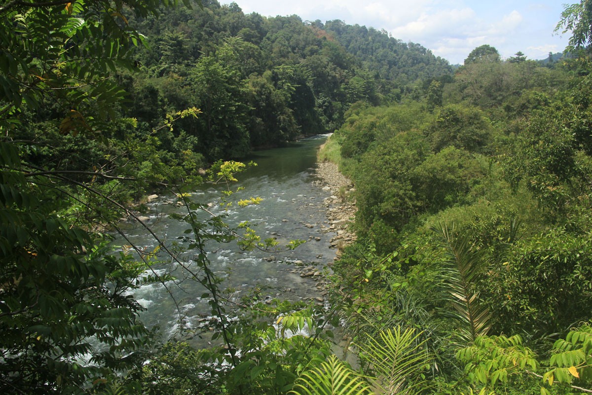 Gorontalo’s Bone River with the background of the Bogani Nani Wartabone National Park. JP/ Syamsul Huda M Suhari