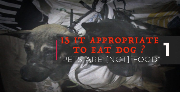 Is it appropriate to eat dog?  Series 01: Pets are (not) food