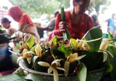 Vendors sell quid usually consisting of betel leaf, areca nut, and lime – often with other ingredients such as gambier and tobacco. In a tradition called Miyos Gongso, people chew betel as they listen to a musical performance played using Sekati, a set of gamelan or Javanese musical instruments belonging to the Surakarta palace. JP/Ganug Nugroho Adi
