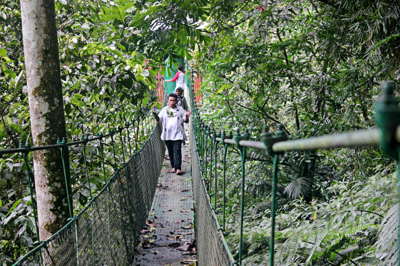 Under the canopy: Visitors walk on a bridge along the canopy trail of the Bodogol Nature Conservation Education Center at Gunung Gede Pangrango National Park in West Java. 
