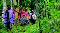 Colorful troupe: Women are dressed in traditional costumes in performing the Ndolu ethnic group’s Karong Woja Wole tradition in Ranakolong village, East Manggarai regency, Flores, East Nusa Tenggara. JP/Markus Makur