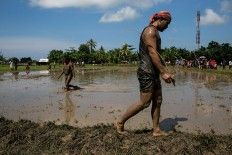 Participants walk around the arena after the buffalo race is over. JP/ Agung Parameswara