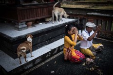 Devoted: Gung Dewi prays with her father in a temple in their village. JP/ Agung Parameswara