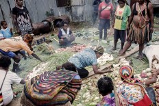 Various tubers are arranged for cooking. The tribes believe that one of the indications that one is a mature adult is the skill to cook the tuber perfectly. JP/ Vembri Waluyas