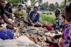Women, colloquially called “mama mama” in Papuan, peel off tubers. The tubers will be cooked with hot stones too. JP/ Vembri Waluyas