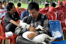 A man holds his dog before it is vaccinated during a free rabies vaccination and neutering program at Lumintang Field, Denpasar, on Nov. 24, 2016. JP/ Zul Trio Anggono