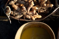 Turmeric is also used as another coloring agent, producing the color yellow that commonly enhances the look of many ikat cloths. JP/Intan Tanjung