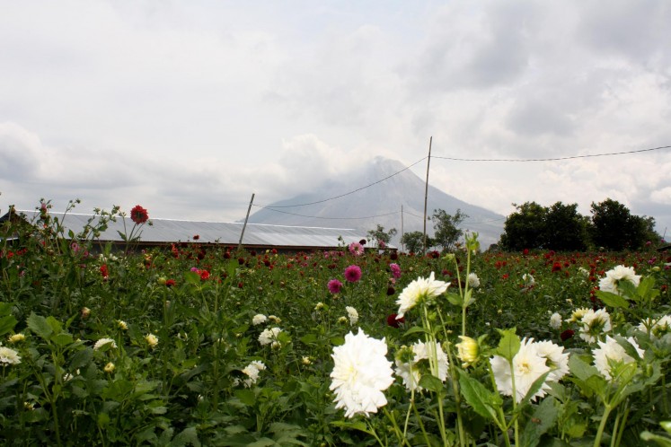 Karo's festival of flowers and fruits.
