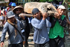 Men carry a lesung (mortar), which women hit to create rhythms during the Gejog Lesung performance. JP/Magnus Hendratmo