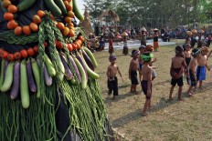 A Pala Gumantung offering is placed in the field after being paraded around the village. JP/Magnus Hendratmo