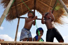  Three boys laugh while shooing sparrows with “memedi sawah” (a scarecrow). JP/Magnus Hendratmo
