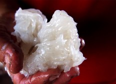 A man shows the sago dough before it is put in the press machine to make vermicelli. JP/Ganug Nugroho Adi