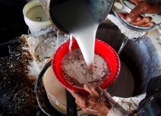  A worker filters sago dough. JP/Ganug Nugroho Adi