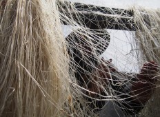  The dried vermicelli ready for packaging. JP/Ganug Nugroho Adi