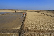 A farmer cultivates his salt field in Santing village, Losarang district, Indramayu regency, West Java, in May. Antara/Dedhez Anggara