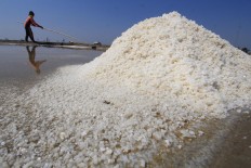 A salt farmer collects salt in Santing village. Antara/Dedhez Anggara