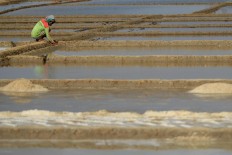 A farmer checks the water on his salt field. Antara/Dedhez Anggara