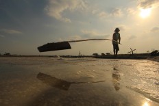 A farmer collects salt. Antara/Dedhez Anggara