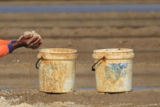 A farmer fills two buckets with salt harvested from the field. Antara/Dedhez Anggara
