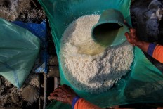  A farmer pours water to clean the salt. Antara/Dedhez Anggara