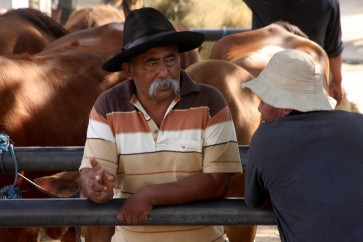 Bekonang cattle market attracts public attention