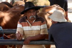 You have my word: Two traders negotiate prices at a cattle market. JP/Maksum Nur Fauzan