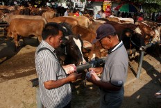Transaction: Cattle traders settle a deal in cash on site. JP/Maksum Nur Fauzan