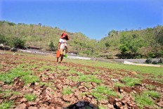 A woman goes home carrying a jerrycan and a bucket filled with water. JP/Aditya Sagita