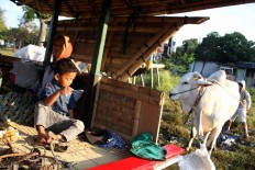 A mother and her son sit inside a cart while waiting for the festival to kick off. JP/Maksum Nur Fauzan