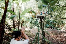 Ibu Nyoman Siniri prays at her family’s small temple by presenting offerings during the ceremony. JP/Anggara Mahendra
