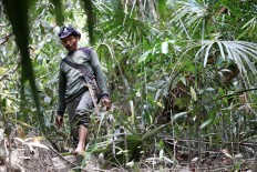 Quietly tracking: A member of the Rhino Monitoting Unit (RMU) looks for foot prints of the Javan rhinoceros in an area known as the center of the species' habitat near Cigenter River in a protected forest area. JP/Dhoni Setiawan