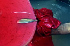 Amalgamation -- a practice to bring free gold particles into contact with mercury – is potentially damaging to the environment. JP/ Magnus Hendratmo