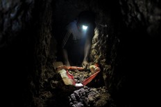A gold miner digs and sorts gold particles from the soil. JP/ Magnus Hendratmo