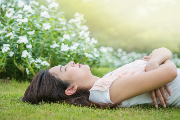 Five plants to help you sleep and breathe better: NASA research